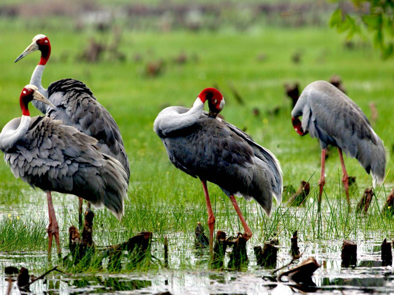 10 Most Amazing Landscapes in Vietnam - 10 Most Amazing Landscapes in Vietnam