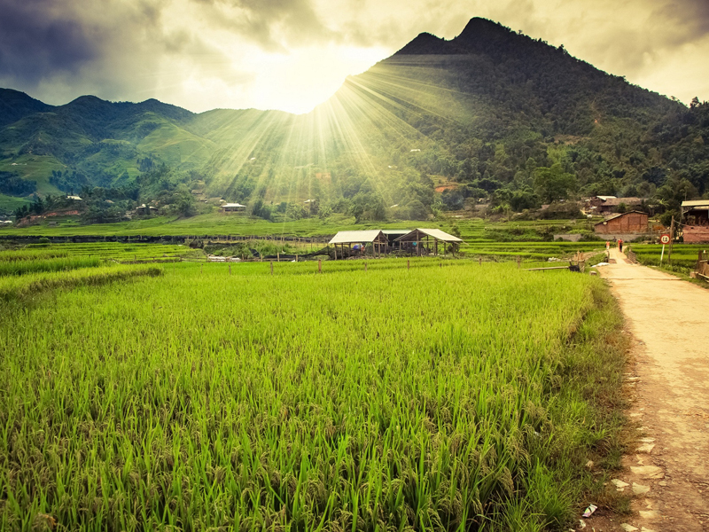 15 activities to discover Sapa for foreign tourists